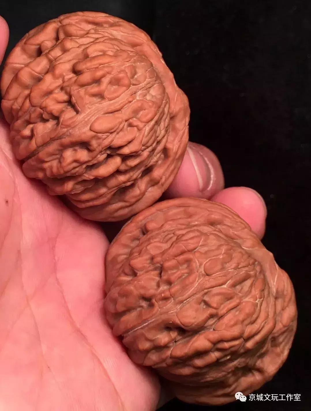 看核桃底部判断核桃真假,看核桃真假