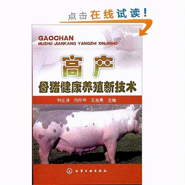 表面上大家都是打工人,有的同事却背地里学习《母猪的产后护理》
