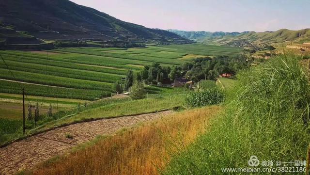 大美汨罗我的家,大美宝丰我的家