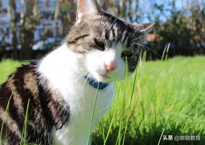 ps把多张照片合成一张全景照片,ps合成不同曝光照片方法