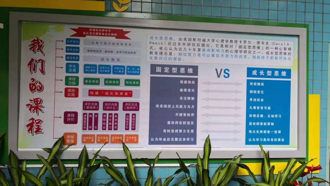 深圳踢足球第一的小学,深圳市足球比较好的小学