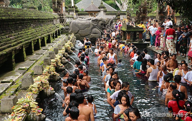 巴厘岛什锦饭和猫屎咖啡,巴厘岛的猫屎咖啡豆的价位