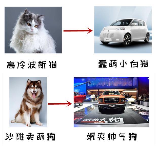 刚官宣中文名就引发众人热议，网友们玩起了起名大赛