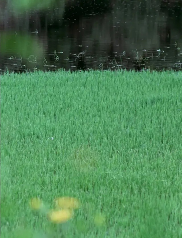 昆明水源地风景区,昆明最好的水源地