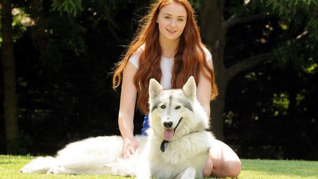 权力的游戏这款游戏费钱吗,权力的游戏全球总收入