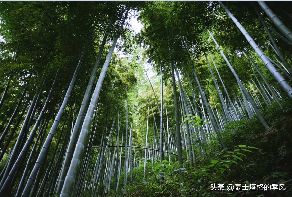 浙江十大宜居小城市,浙江有多宜居