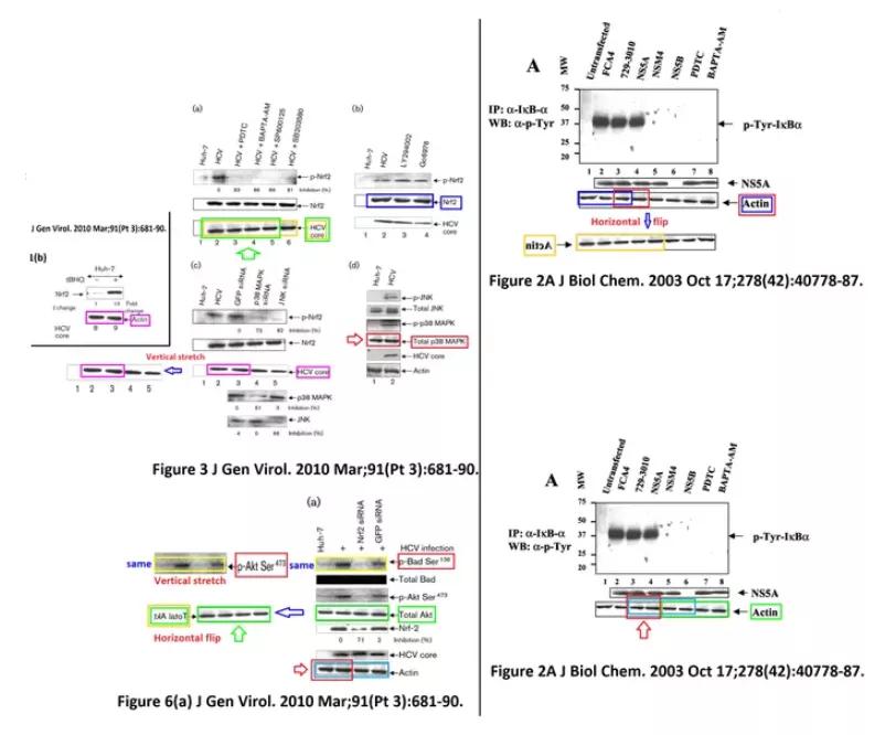 论文撤稿是真的假的,论文图表造假会不会看出来