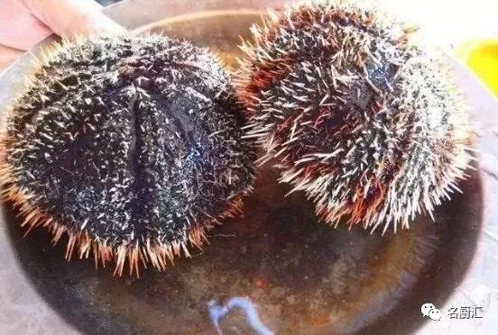 世界高端海鲜品牌,世界顶级海鲜在哪里