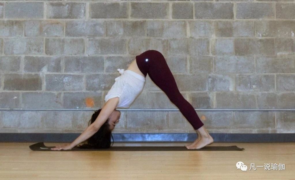 下犬过渡到跪姿过度,单腿下犬正确练习方法