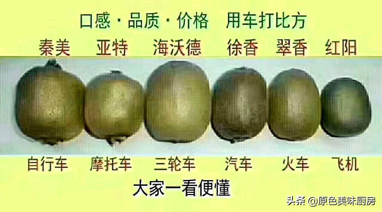 刚摘下来的猕猴桃的吃法,猕猴桃买回来该怎么种才能成活