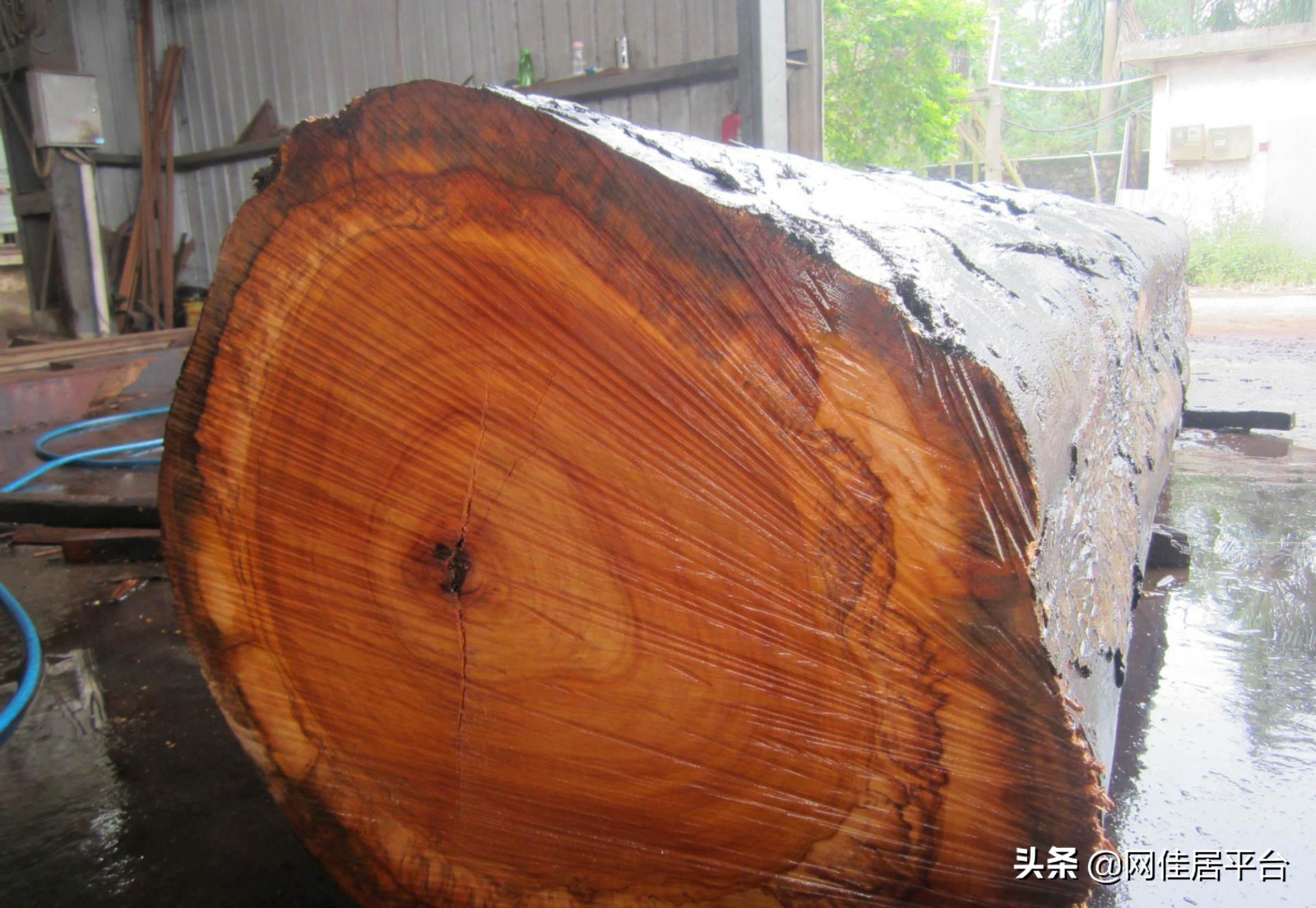 紫檀绿檀是什么木头,紫檀绿檀桃木区别