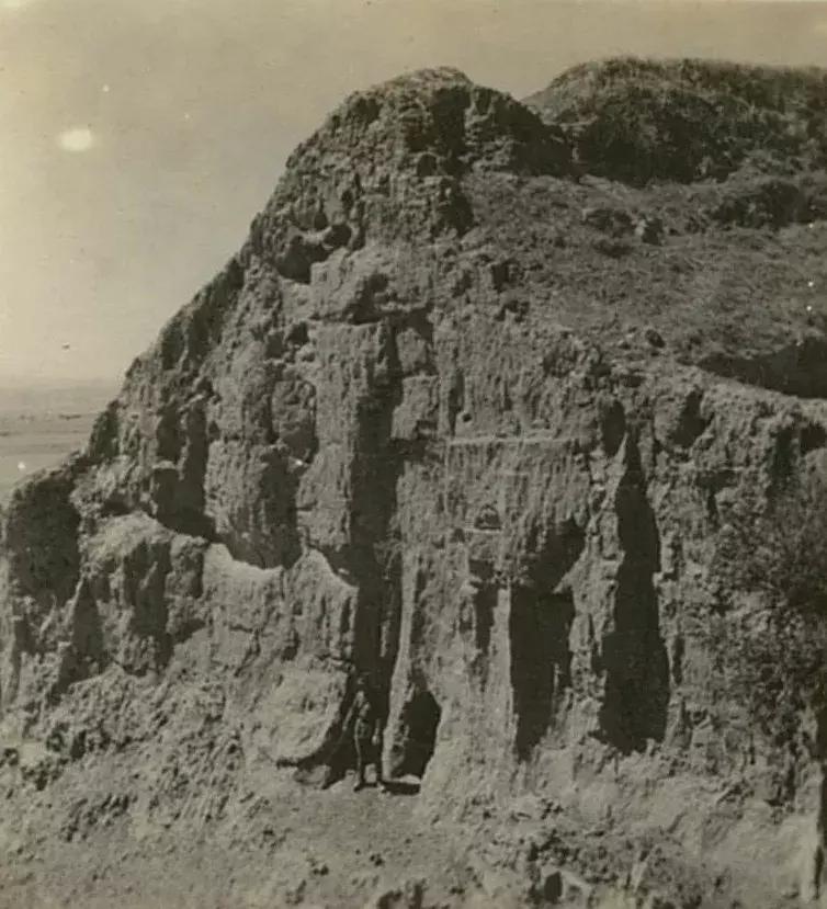 你可能没见过的姓氏,你可能没见过的日语