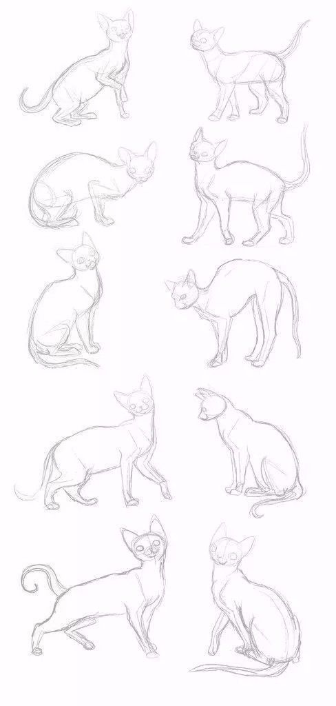 简笔画人物教程大全零基础成人,1000个适合零基础的简笔画教程