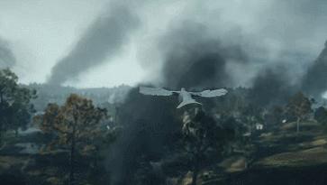 世界大战中的信鸽传奇：以吾一“鸽”之力挽救无数生命