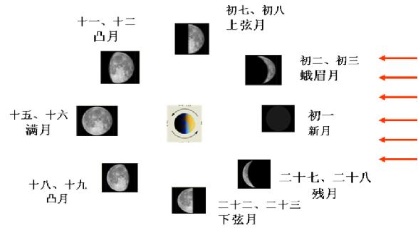七年级上科学8-11章知识点总结,七年级上册华东师大版科学知识点