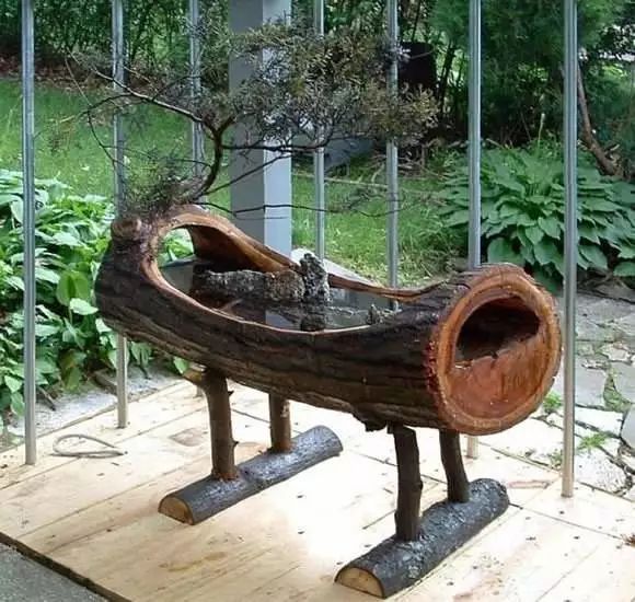 水旱树石盆景图片,什么树石盆景最好