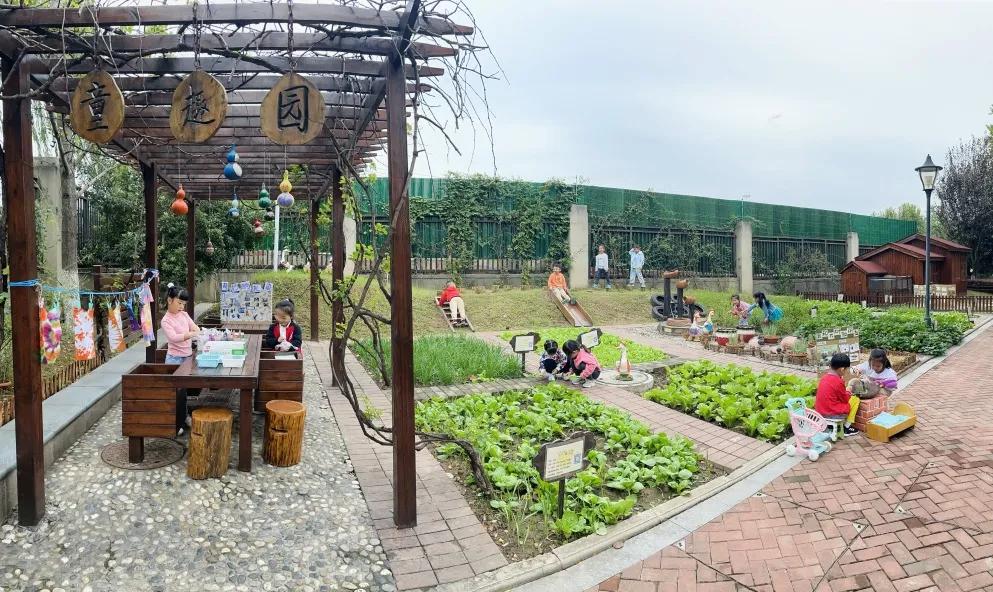 最美的风景美丽的校园,最美的风景就是校园