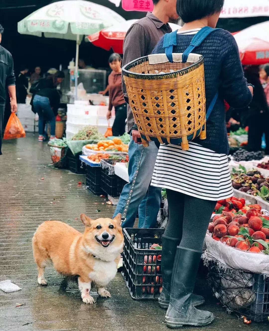北漂在大理的生活,北漂女子住大理