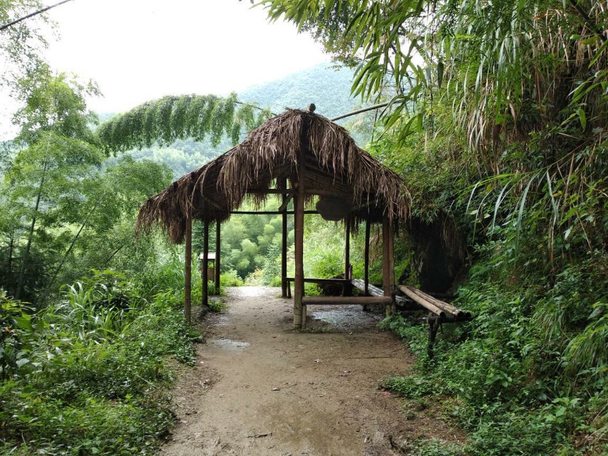 大唐绝唱—惊才绝艳的小鱼