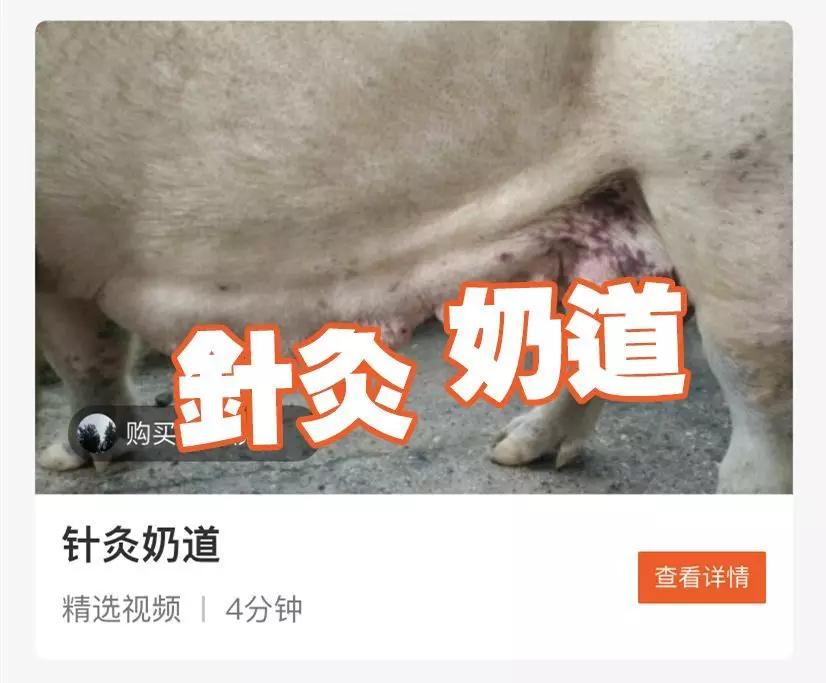 知识付费抖音小店运营课程,算法知识付费