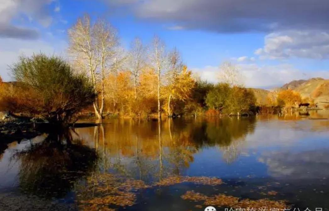 看看*疆新**哈密伊吾值不值得你去？,1