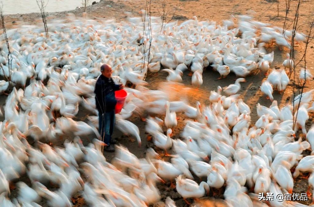 32张美景图片,苏州东山西山风景区哪个更值得去