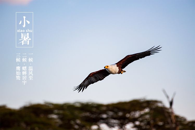 知名的中医科普,中医一览表