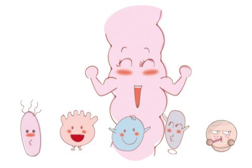 如何选购适合自己的益生菌,市面益生菌琳琅满目