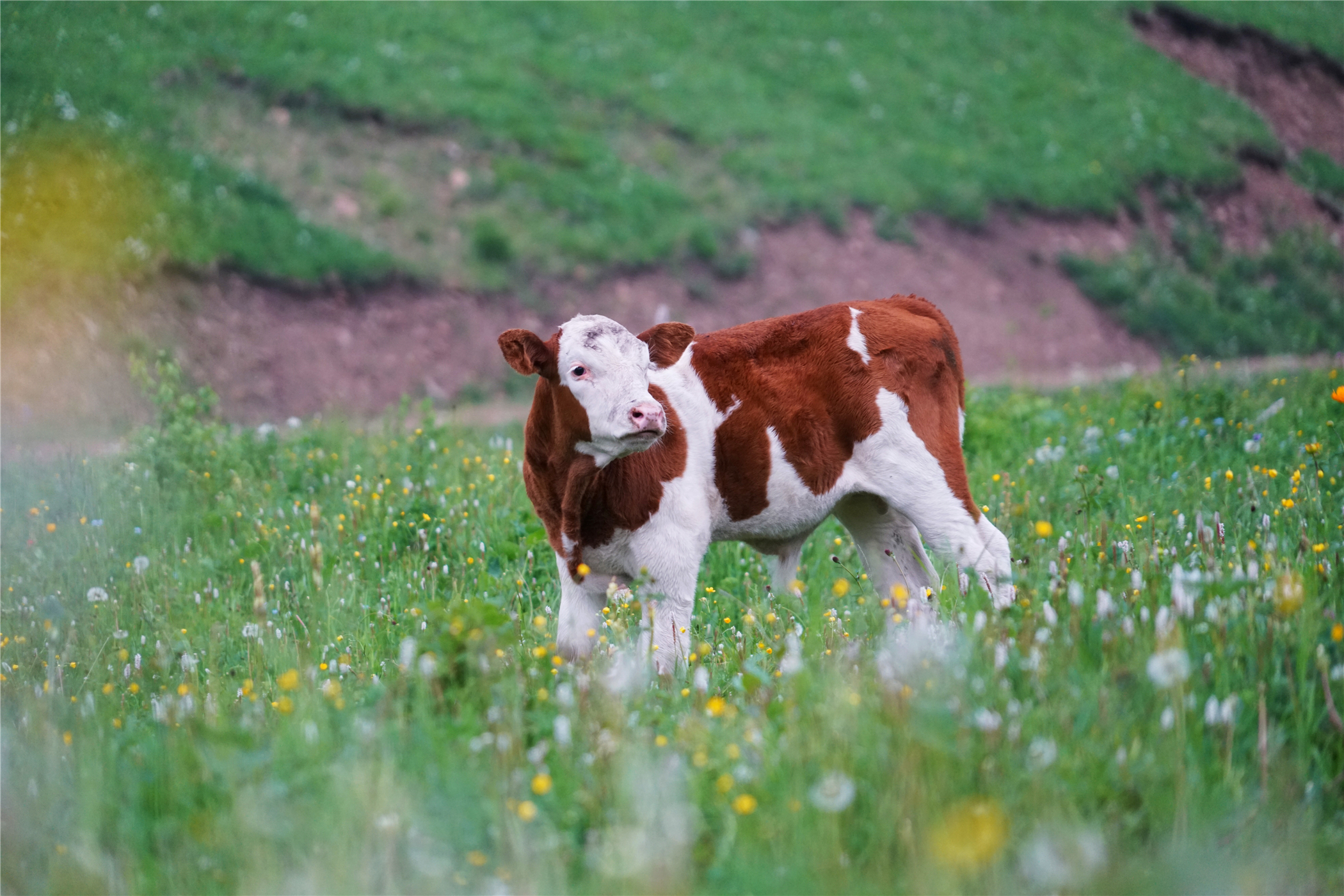 北京自驾避暑旅游攻略,2天一夜避暑胜地自驾游大盘点