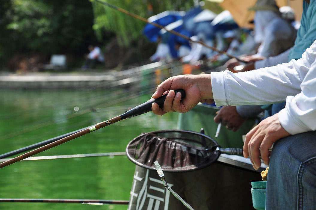 钓鱼高手用几米竿,钓鱼新手入门短竿