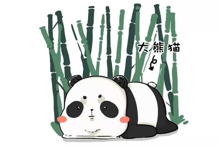 围观中国网红神兽羞羞视频，这是什么特殊爱好？