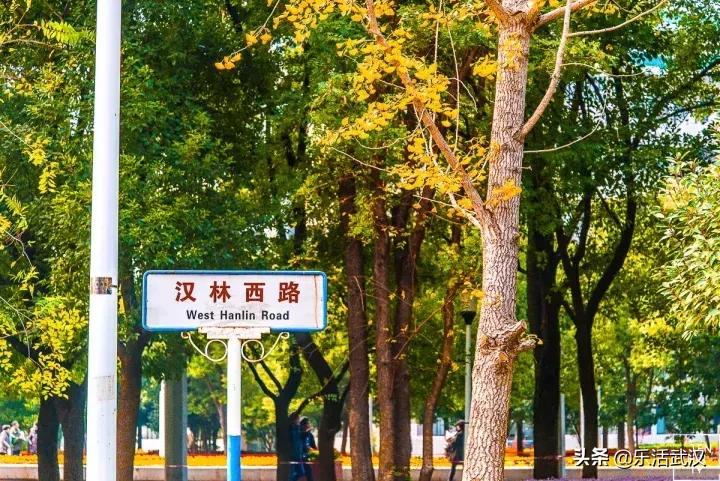 原来武汉有这么多好玩的打卡地,武汉周边新晋7大网红打卡地