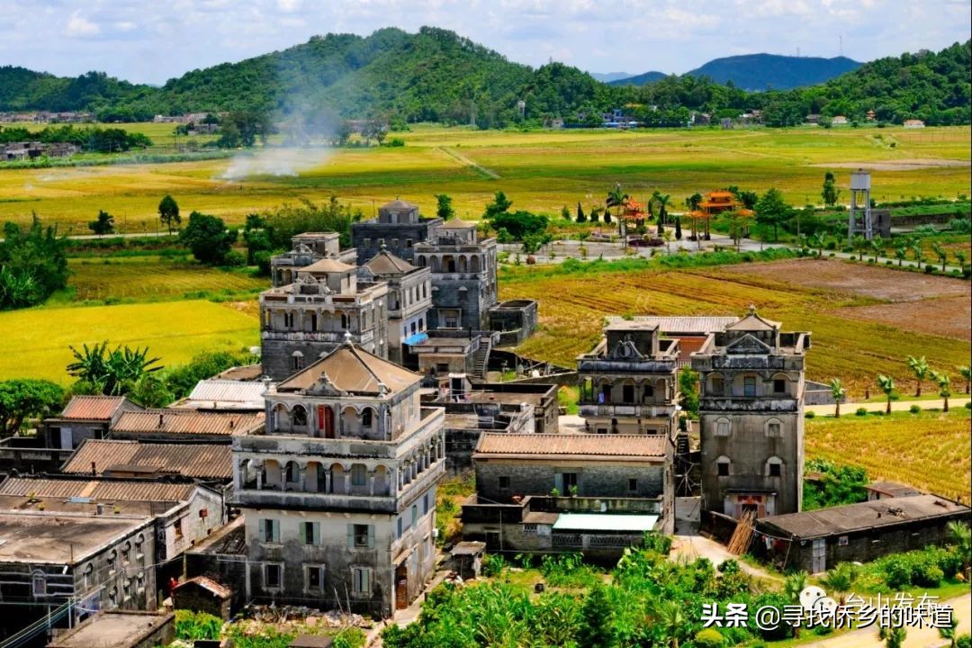 这个网红记录片，告诉你台山改革前不为人知的一面