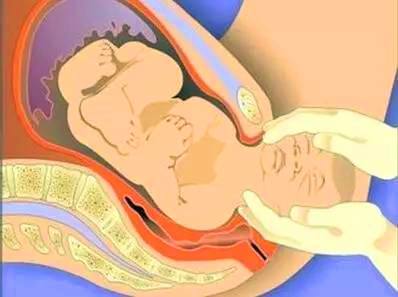 探究分子在不断运动,探究分子间的作用力实验