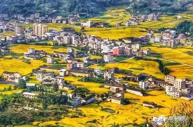 潮汕阿舅全部视频,潮汕网红澄海