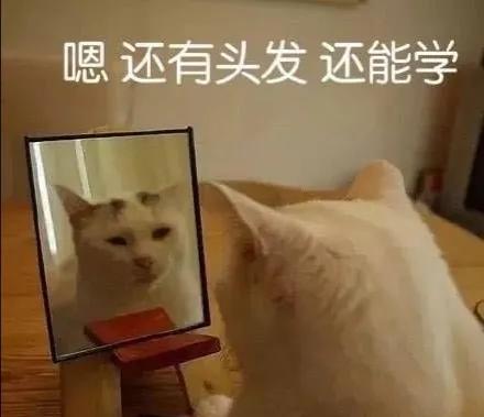 女生不回消息怎么追到她,女生不回你消息怎么办幽默