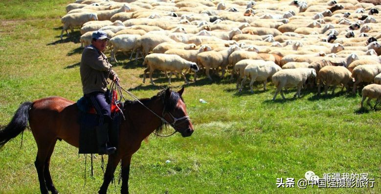 又一封辞职信火了，*疆新**人已传疯