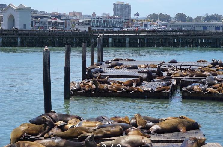 nba詹姆斯旅游,詹姆斯nba旅程