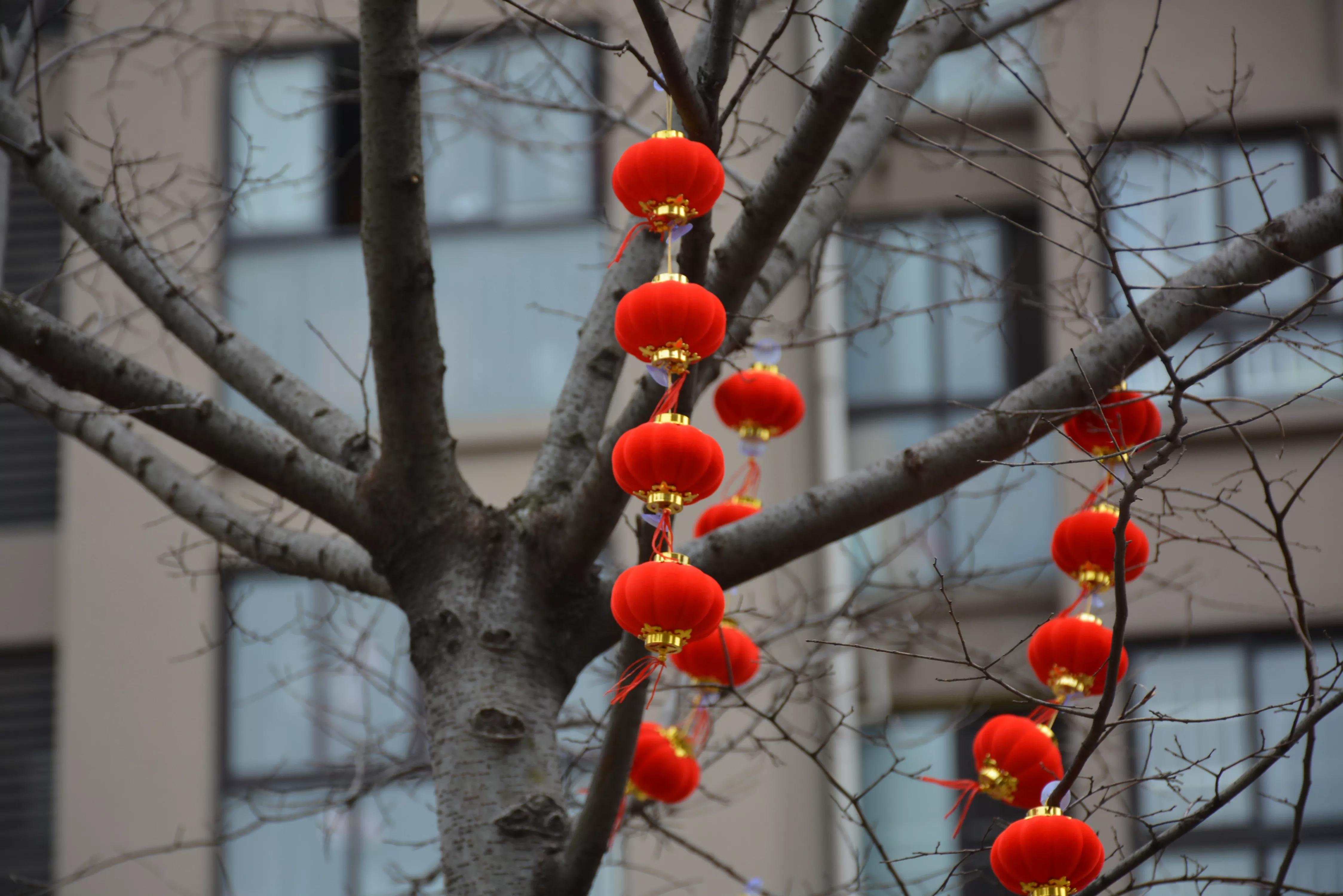 能坚持四季如春就好了（湖畔雅居的春天）