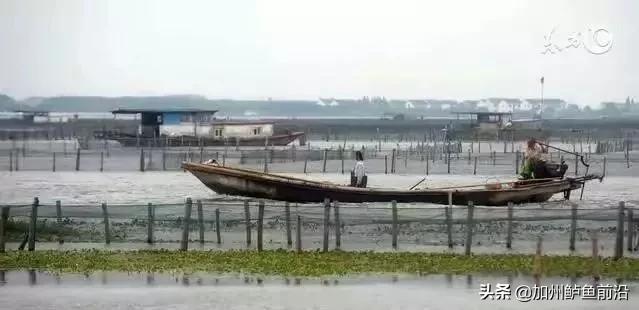 井水最佳调水方法,水质正常白天没口怎么调水