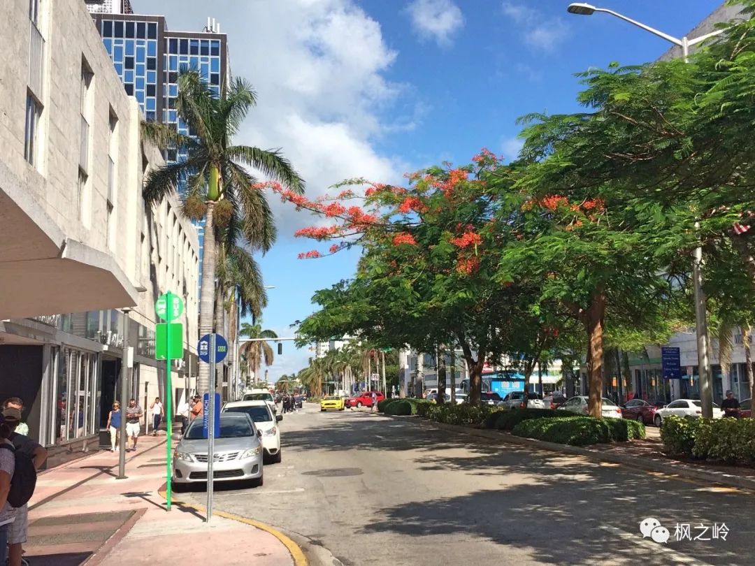 佛罗里达州迈阿密海滩度假,迈阿密海滩旅游