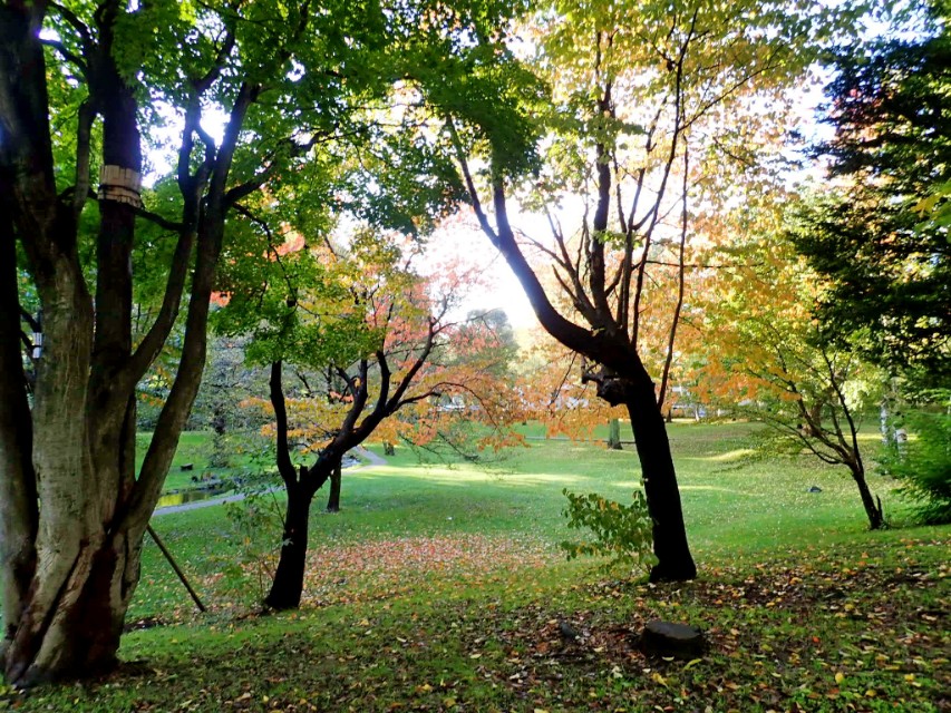 从南到北游日本之北海道札幌