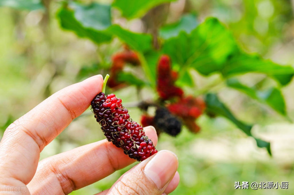 八种当季水果别错过,6月份要吃的四种水果