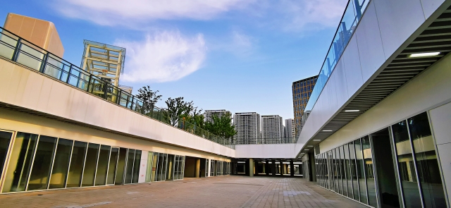 杭州奥体博览城全景,杭州奥体中心足球场全貌