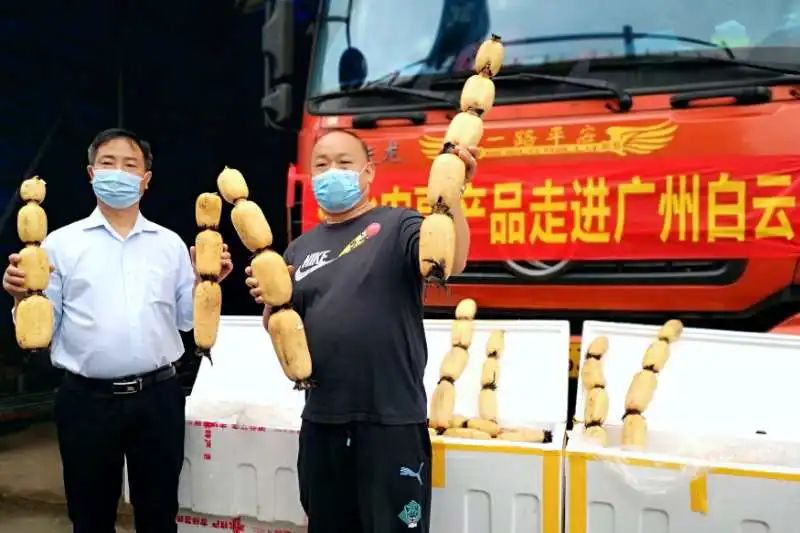 番禺｜爱心速递！松洲街助力近200吨湖北滞销农副产品走进广州千家万户