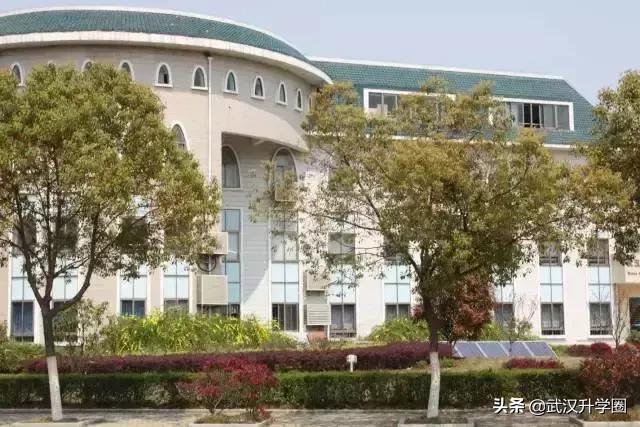 武汉十大土豪国际学校,在武汉上学有哪些好的学校