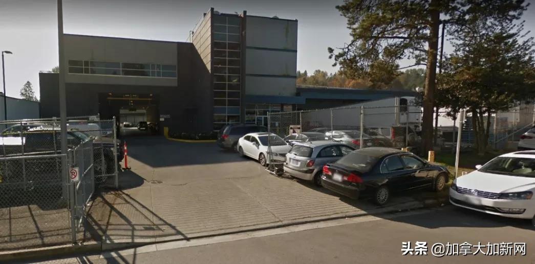 温哥华华人最爱肉厂爆疫情老板说已经卖出去的肉不召回