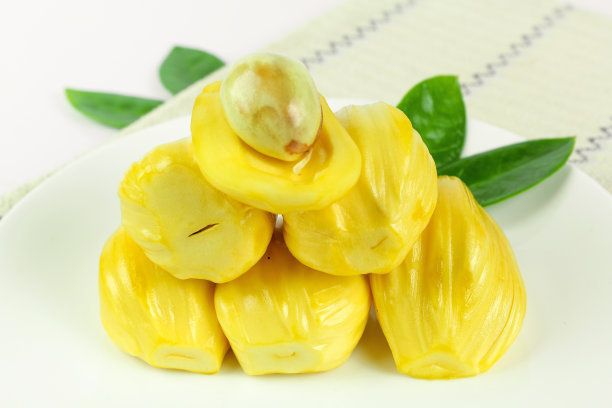 菠萝蜜快速种植方法,菠萝蜜高产种植技术