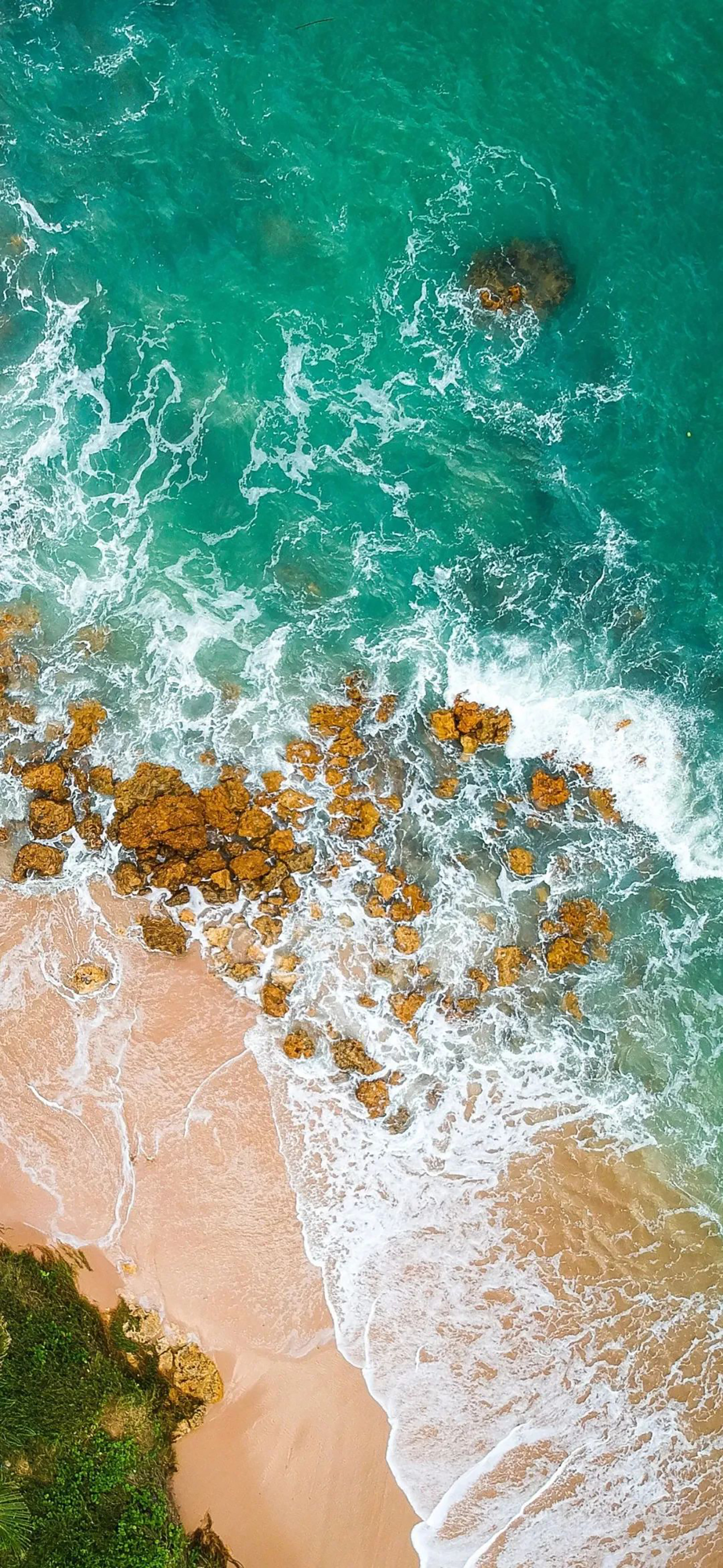 蓝天大海沙滩椰树图片高清壁纸,太阳蓝天大海海鸥的壁纸