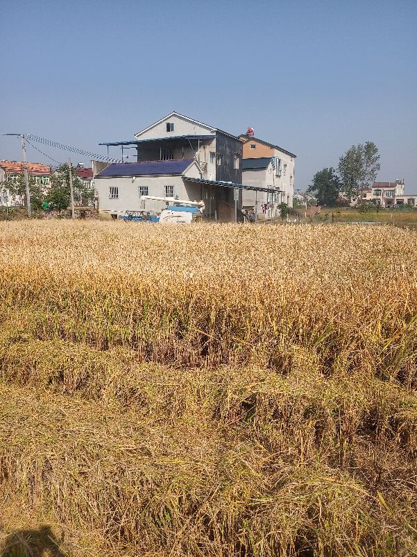 农村坟墓与房屋距离,农村建房旁边有祖坟怎么办